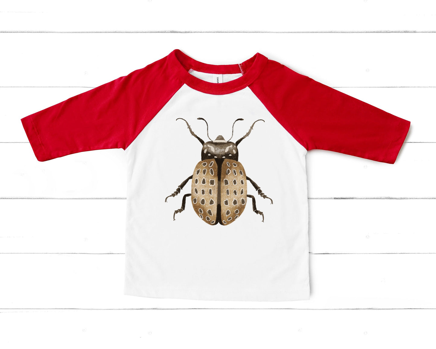 Insect Hunt PNG Set