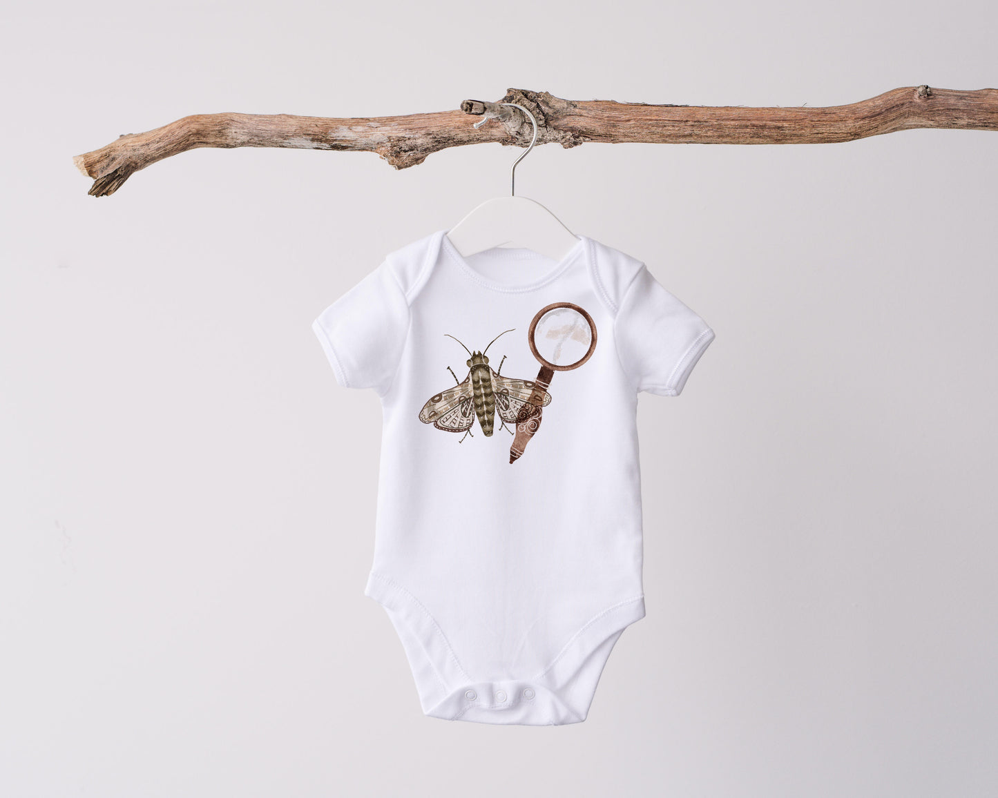 Insect Hunt PNG Set