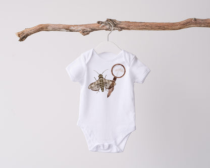 Insect Hunt PNG Set