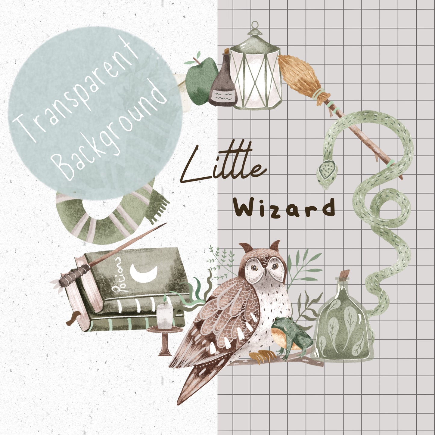 Little Wizard PNG