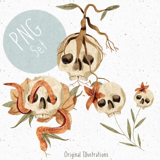 Floral skull PNG Set