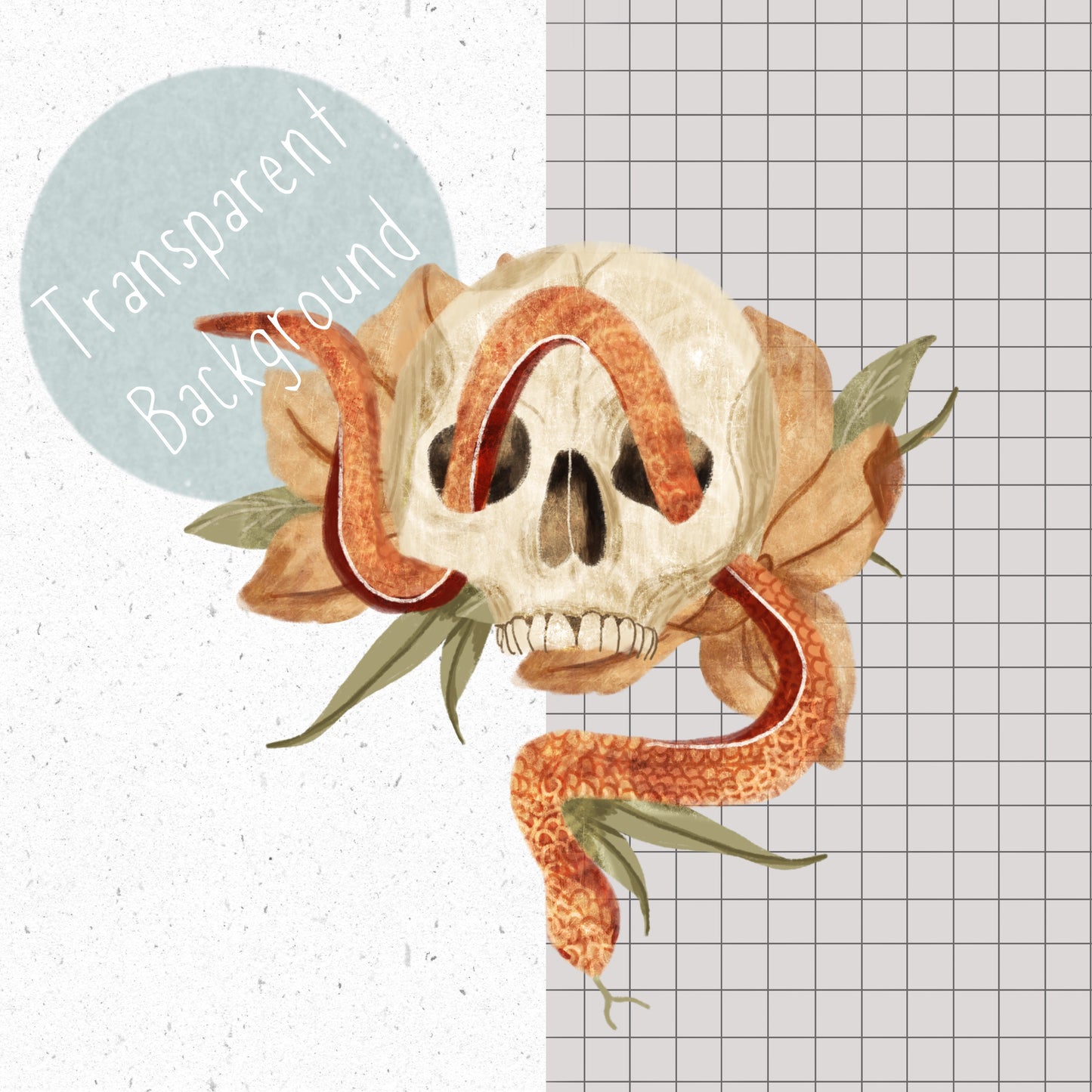 Floral skull PNG Set