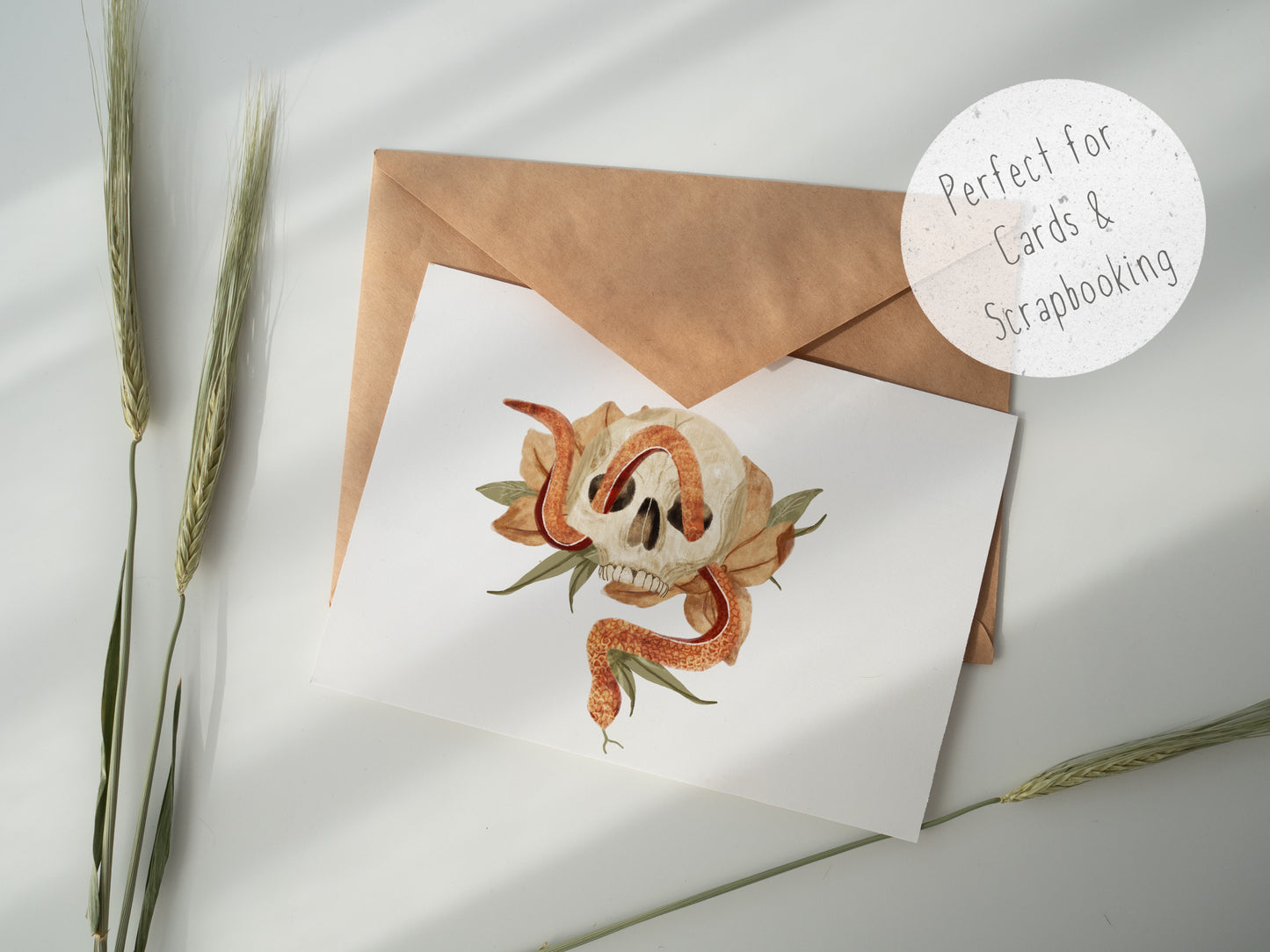 Floral skull PNG Set
