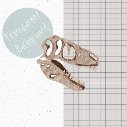 Fossil PNG Set