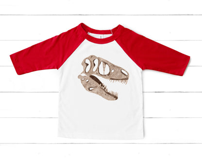 Fossil PNG Set