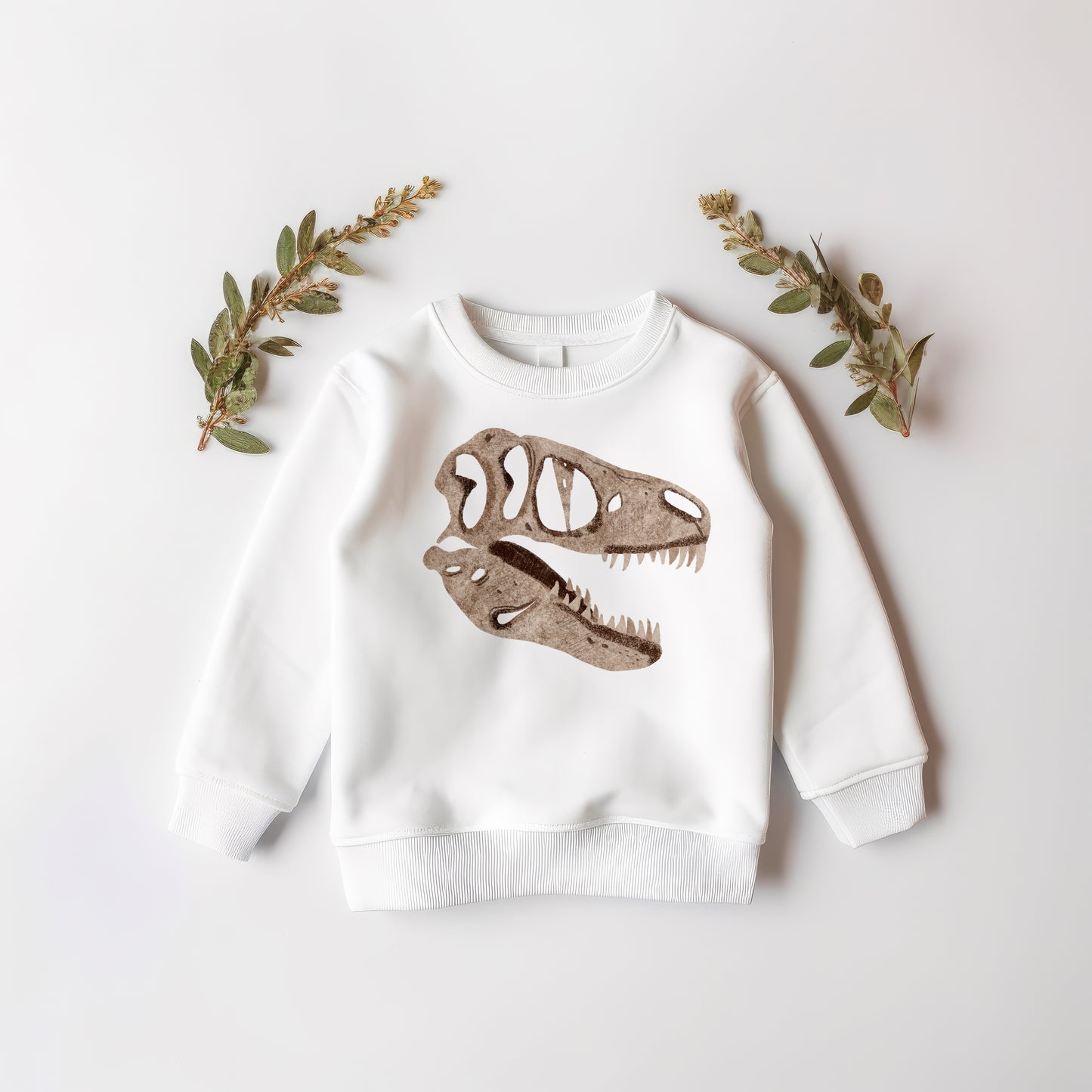 Fossil PNG Set