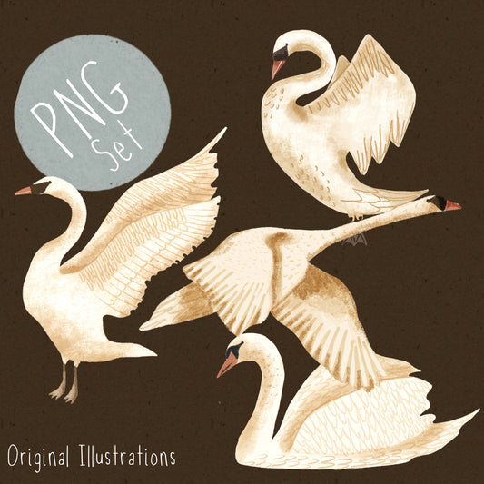 Swan PNG Set
