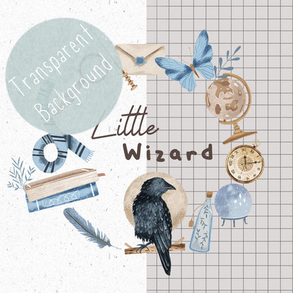 Little Raven Wizard PNG