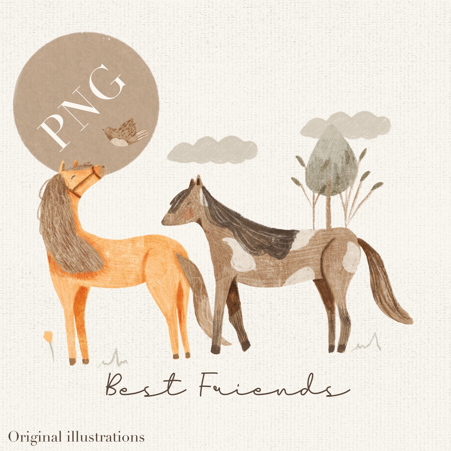 Horse Best Friends PNG