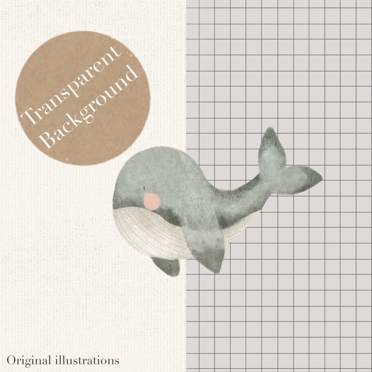 10 piece New Baby PNG Set