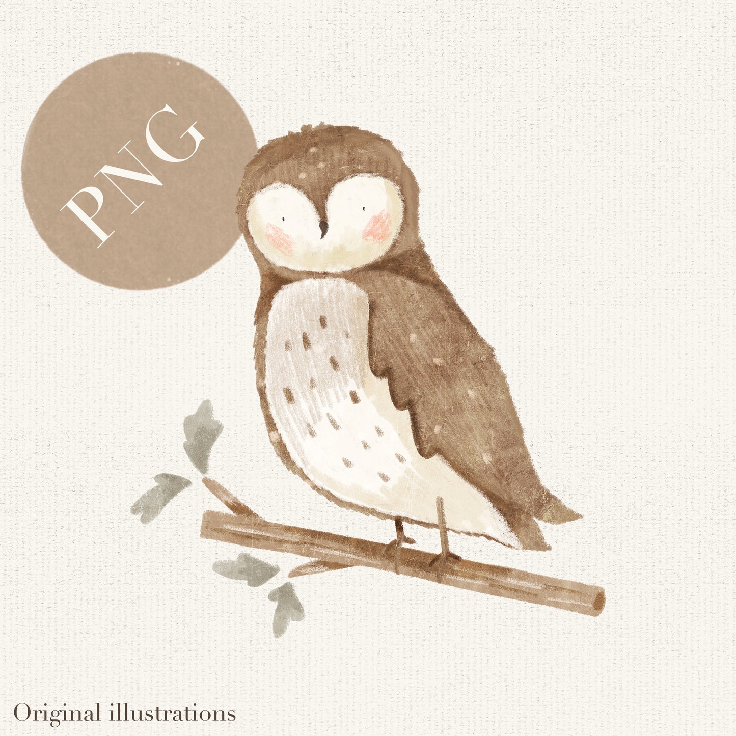 Owl on branch PNG