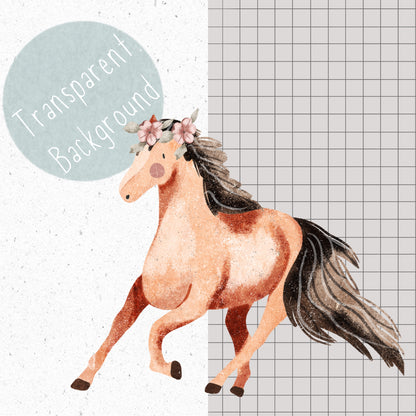 Wild Horses PNG Set