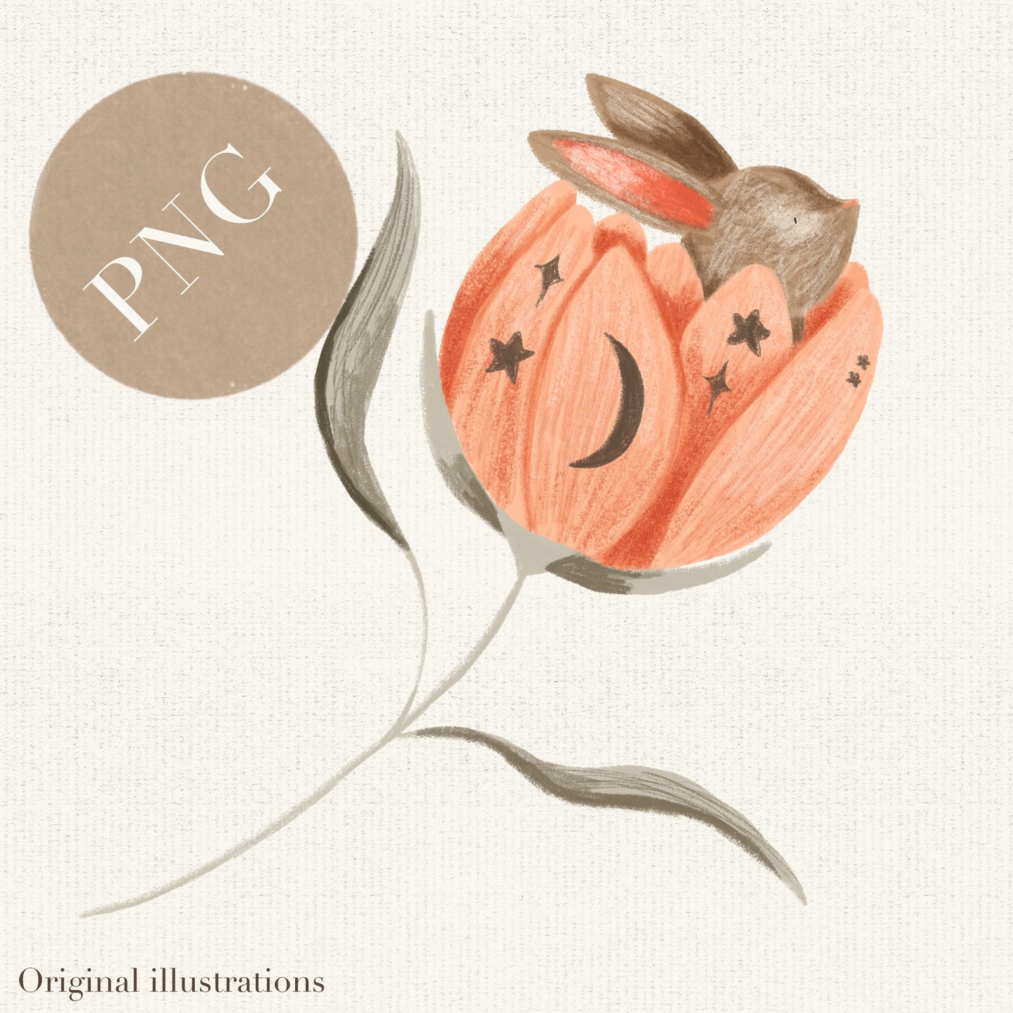 Rabbit in flower PNG