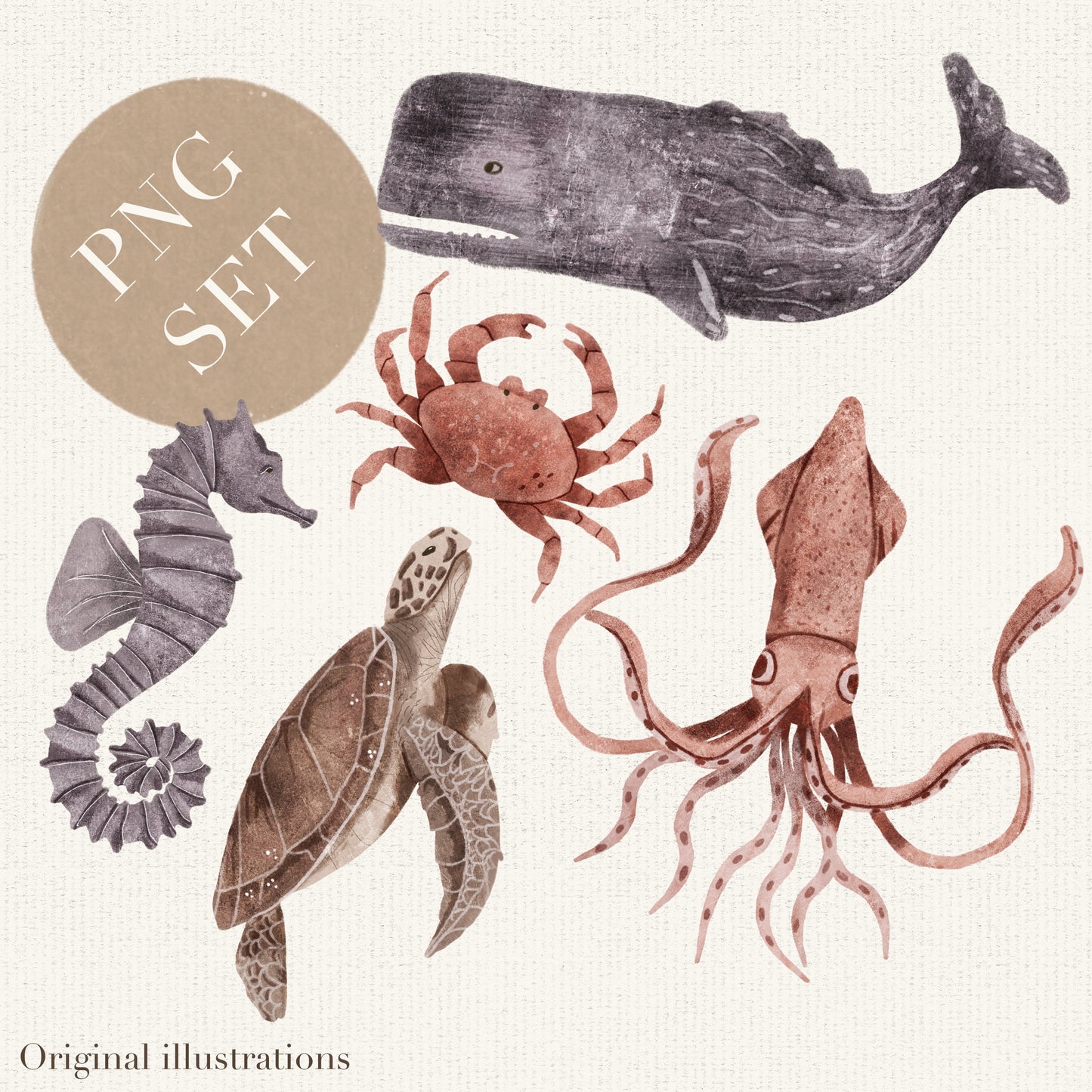 Sea Creatures PNG Set