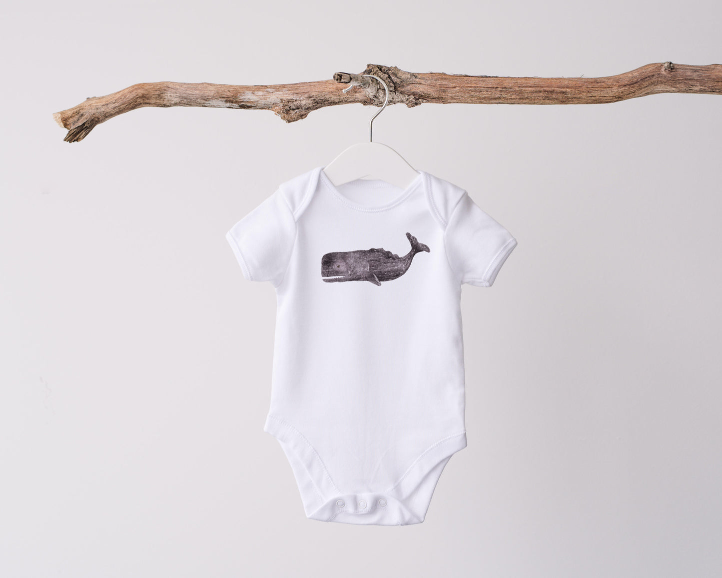 Sea Creatures PNG Set