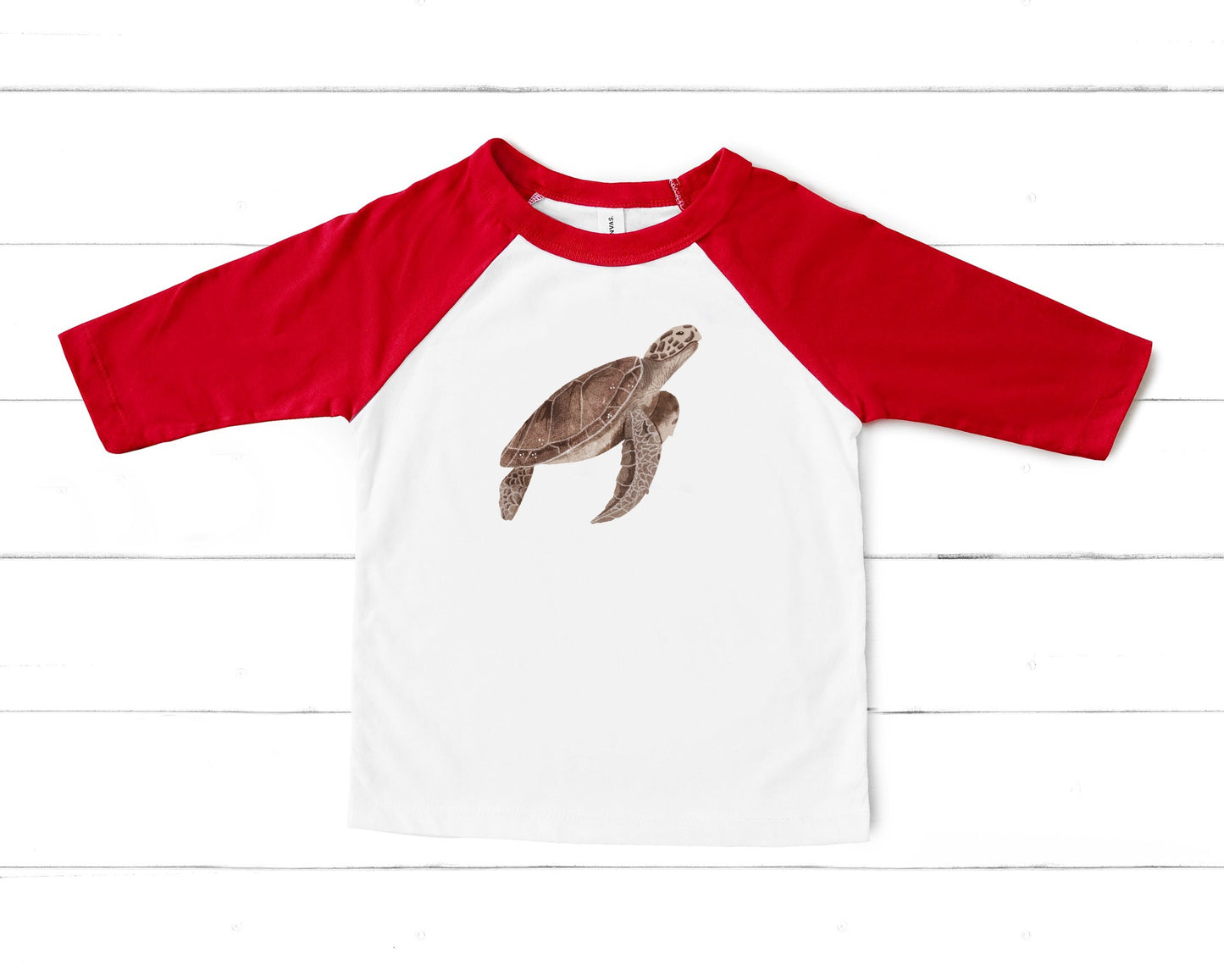 Sea Creatures PNG Set