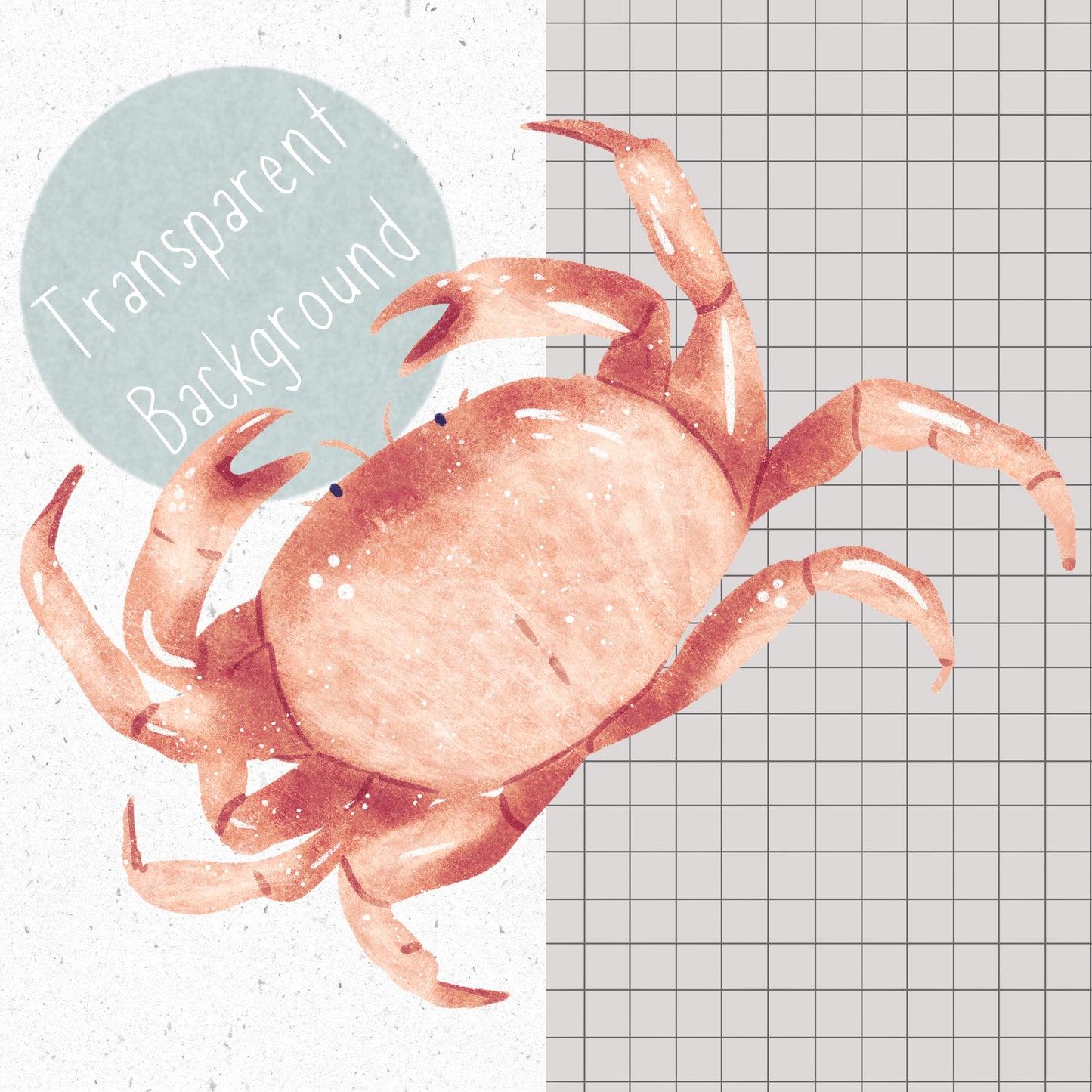 Crab PNG