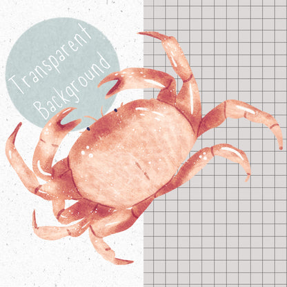 Crab PNG