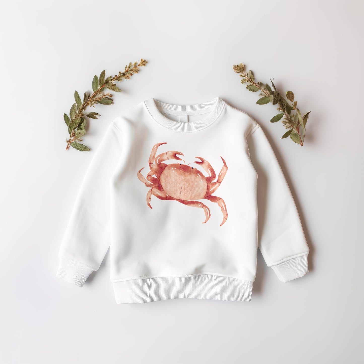 Crab PNG