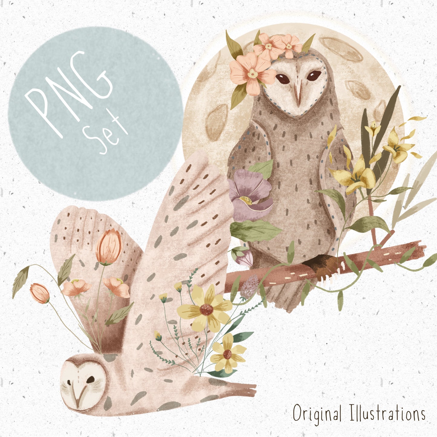 Floral Owl PNG Set