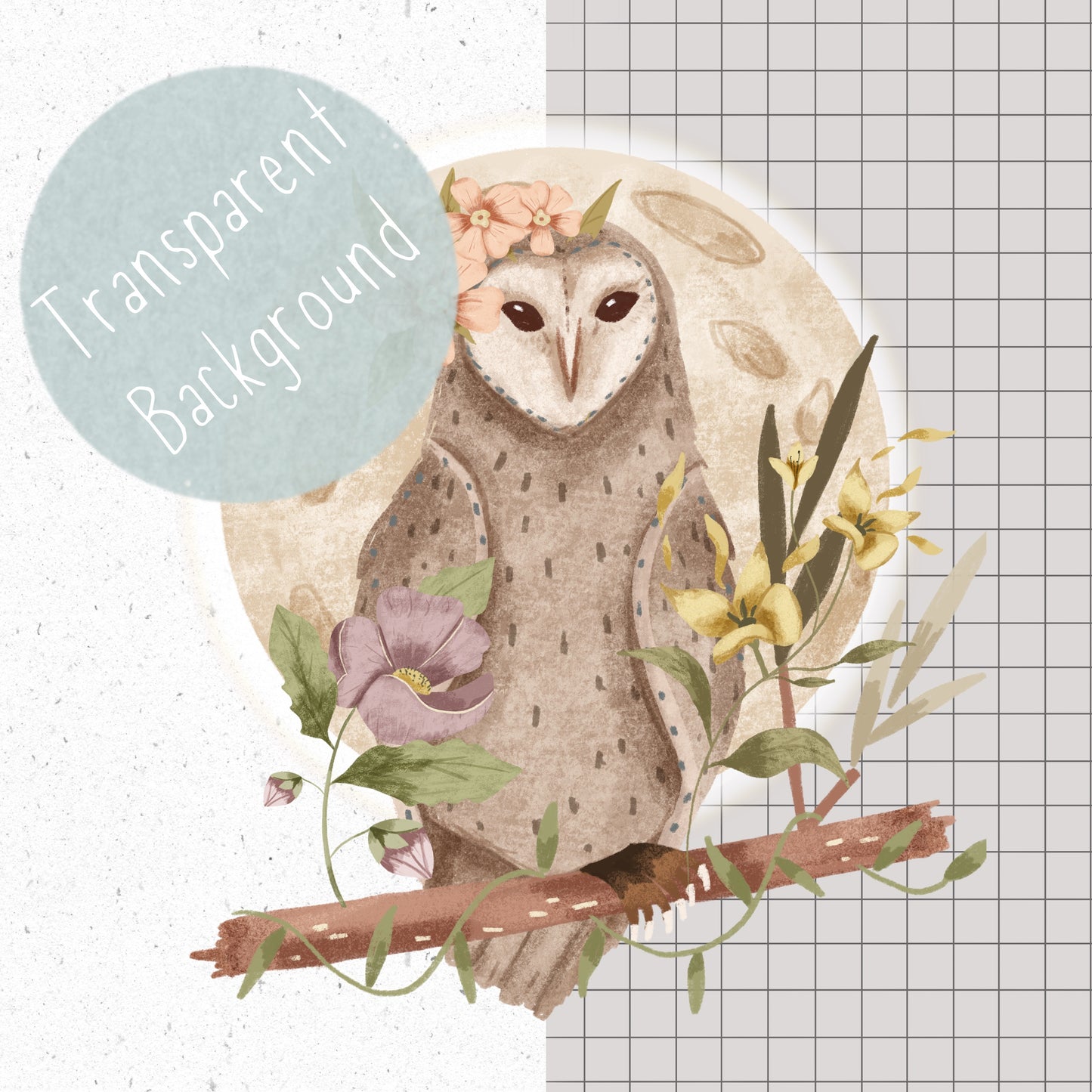 Floral Owl PNG Set