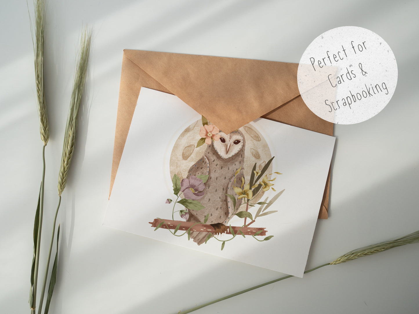 Floral Owl PNG Set