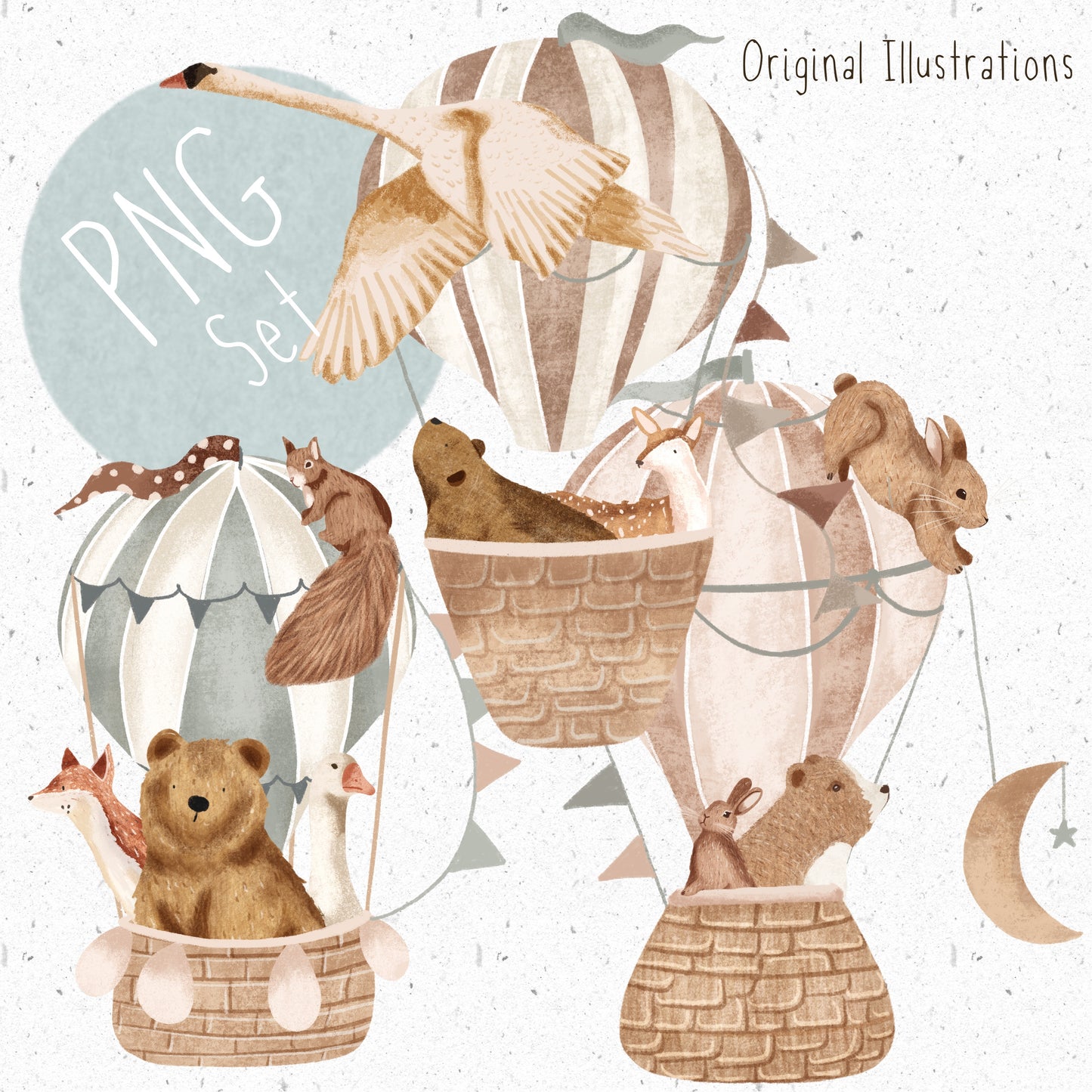New Baby PNG Set