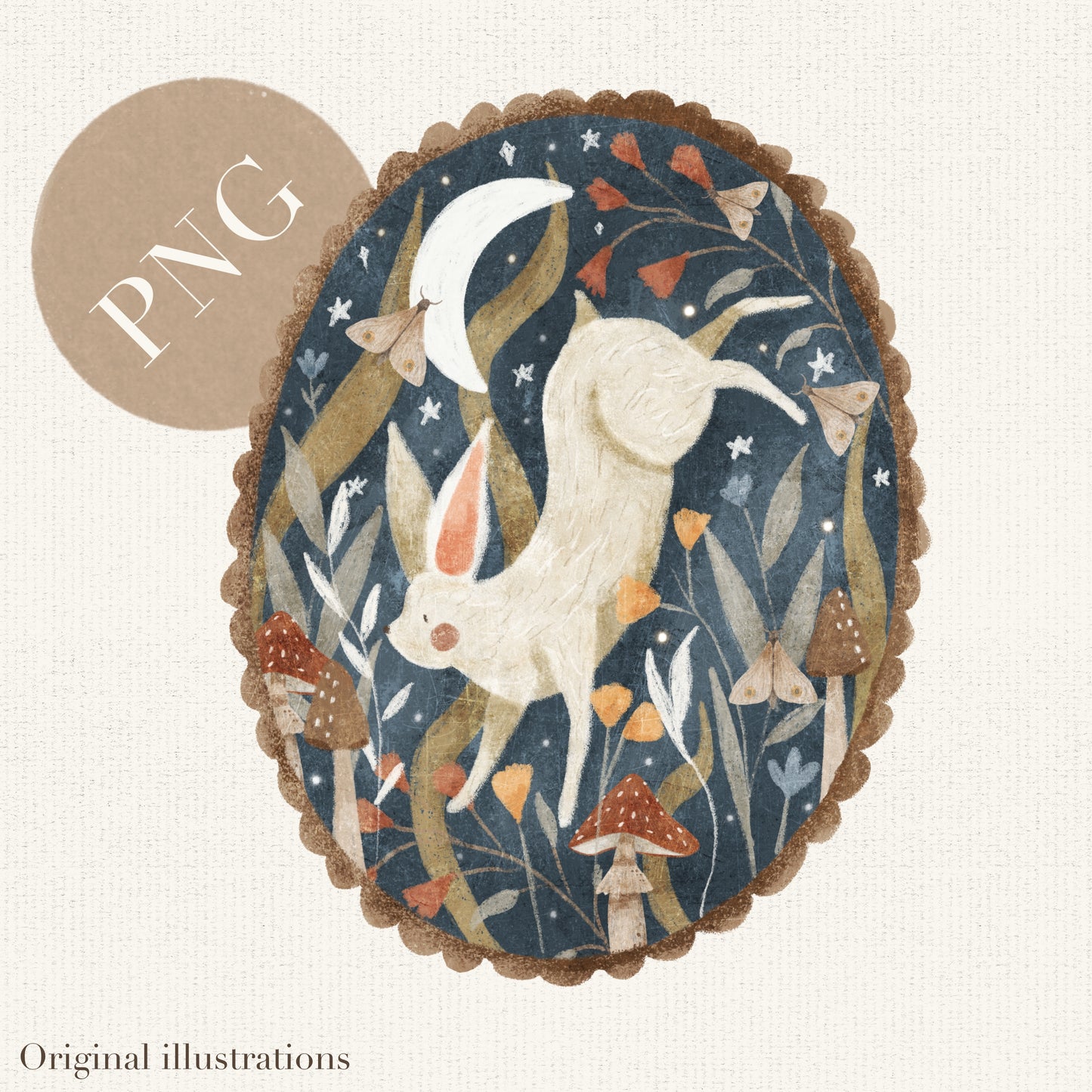 White Rabbit PNG