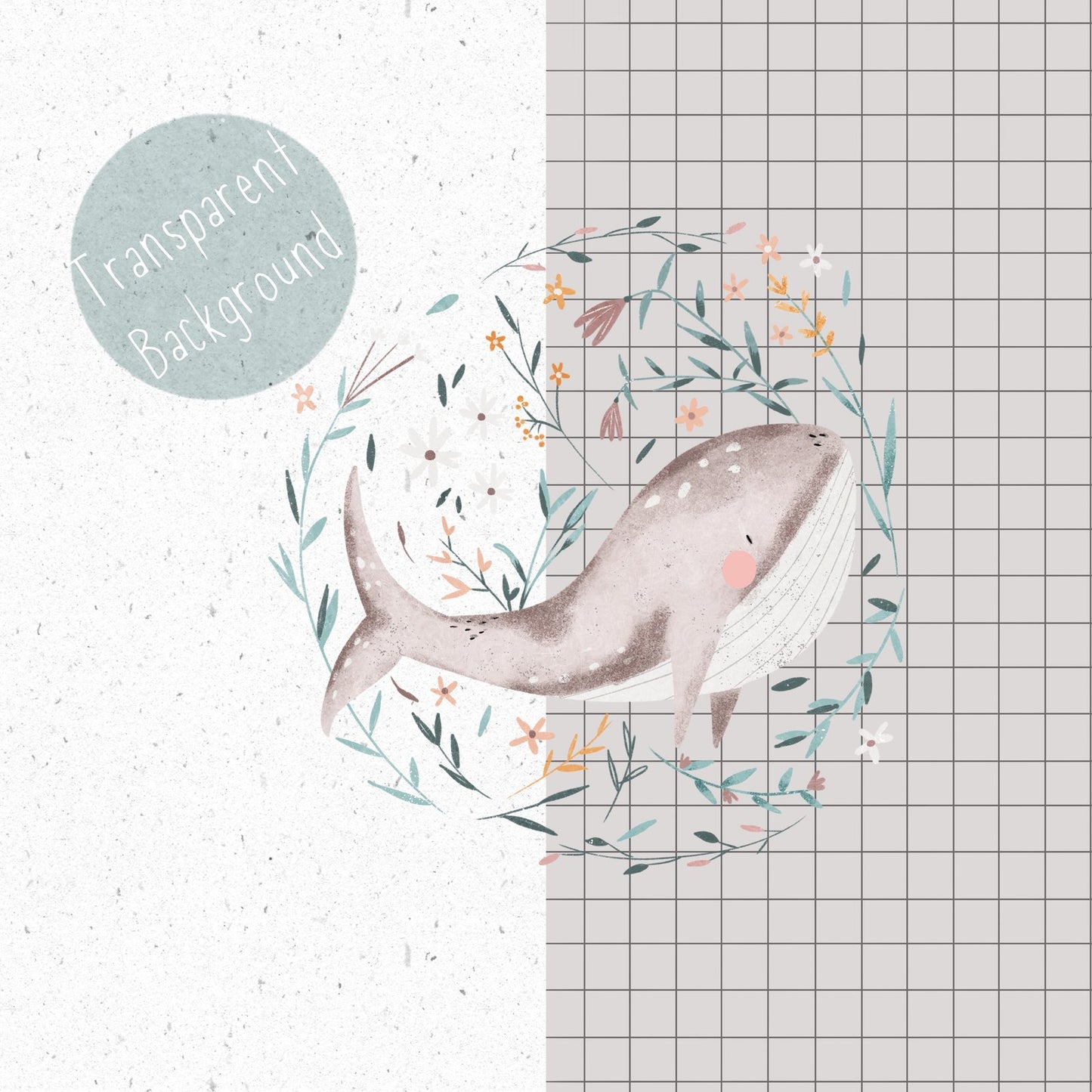 Water Animal  PNG Set