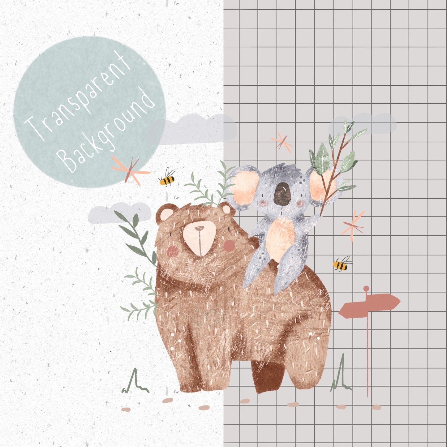 Bear and Koala PNG